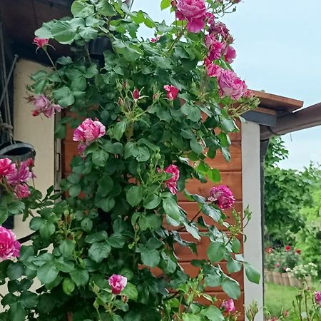 Colle Perazzoni Lägenhet Fiano Romano Exteriör bild
