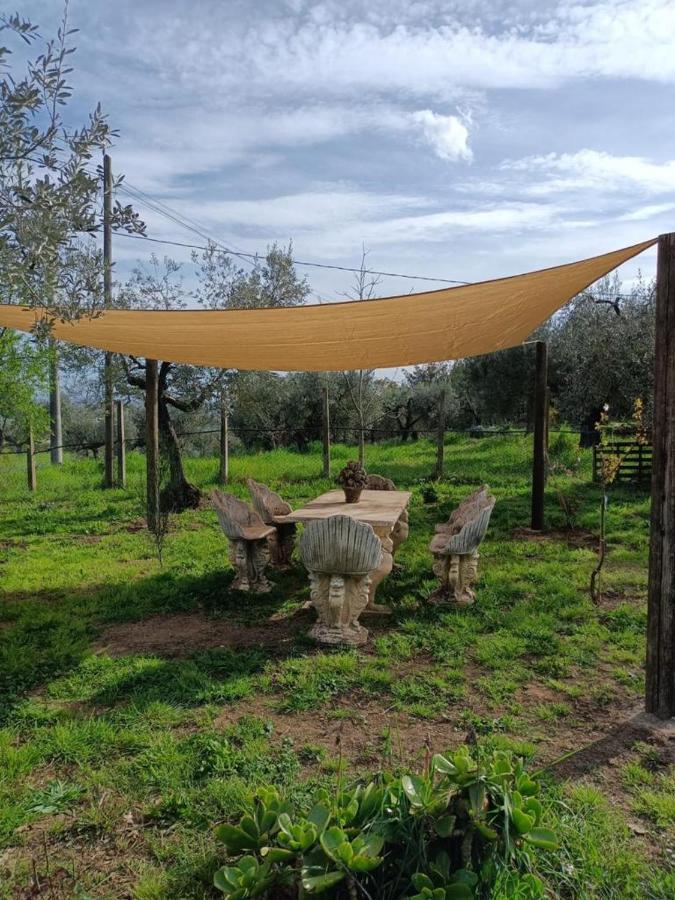 Colle Perazzoni Lägenhet Fiano Romano Exteriör bild