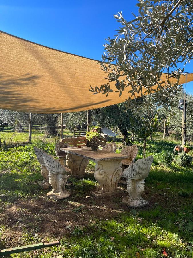 Colle Perazzoni Lägenhet Fiano Romano Exteriör bild