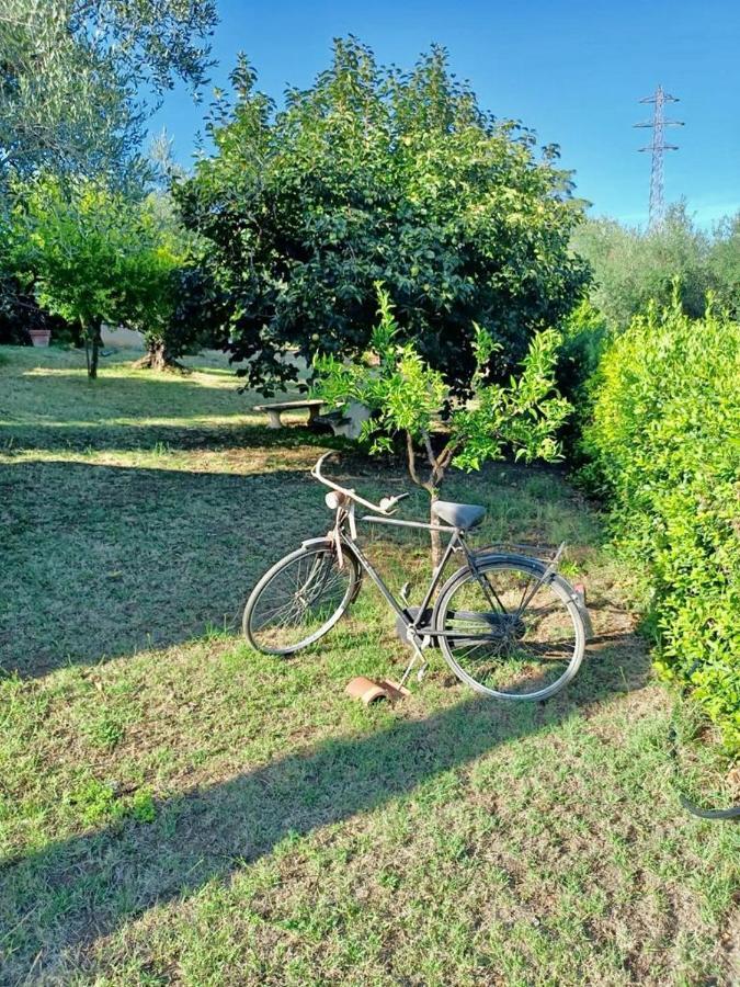 Colle Perazzoni Lägenhet Fiano Romano Exteriör bild