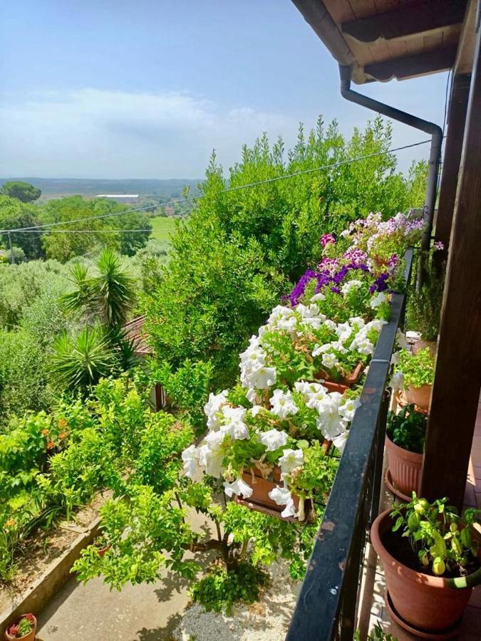 Colle Perazzoni Lägenhet Fiano Romano Exteriör bild