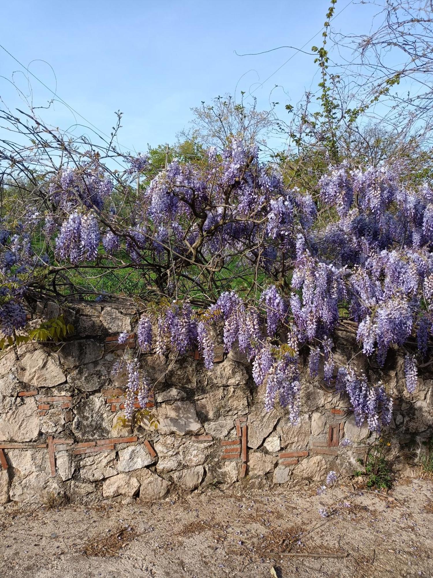 Colle Perazzoni Lägenhet Fiano Romano Exteriör bild