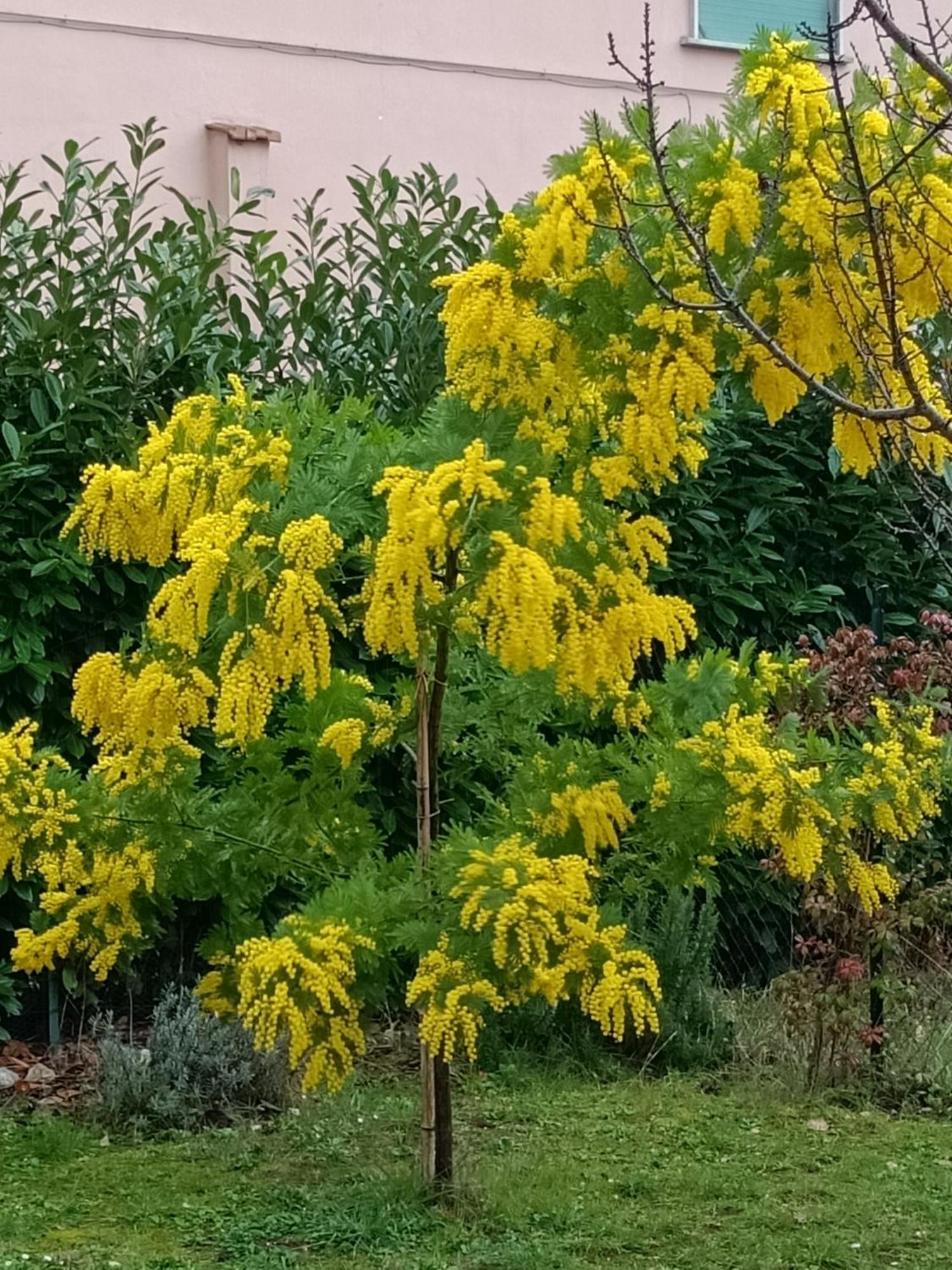 Colle Perazzoni Lägenhet Fiano Romano Exteriör bild