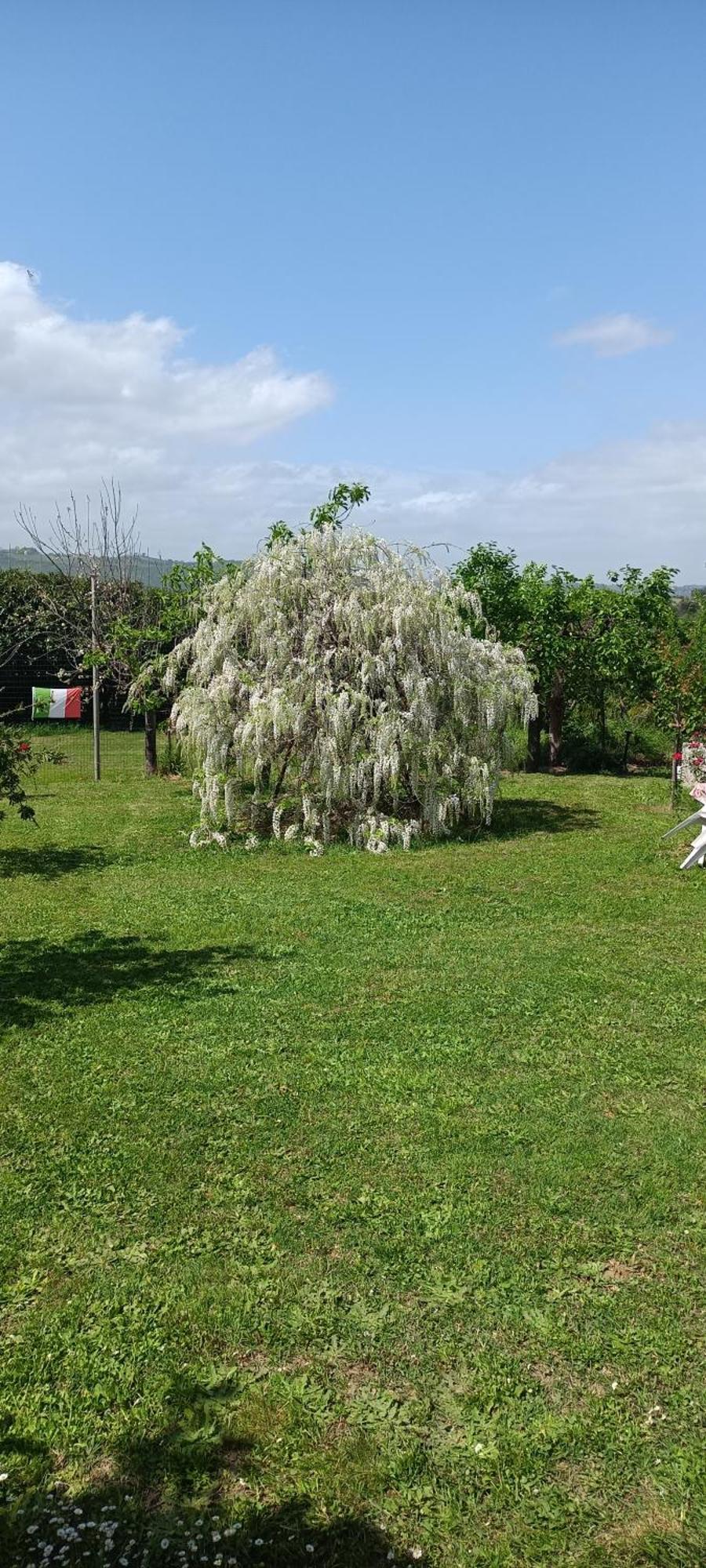 Colle Perazzoni Lägenhet Fiano Romano Exteriör bild