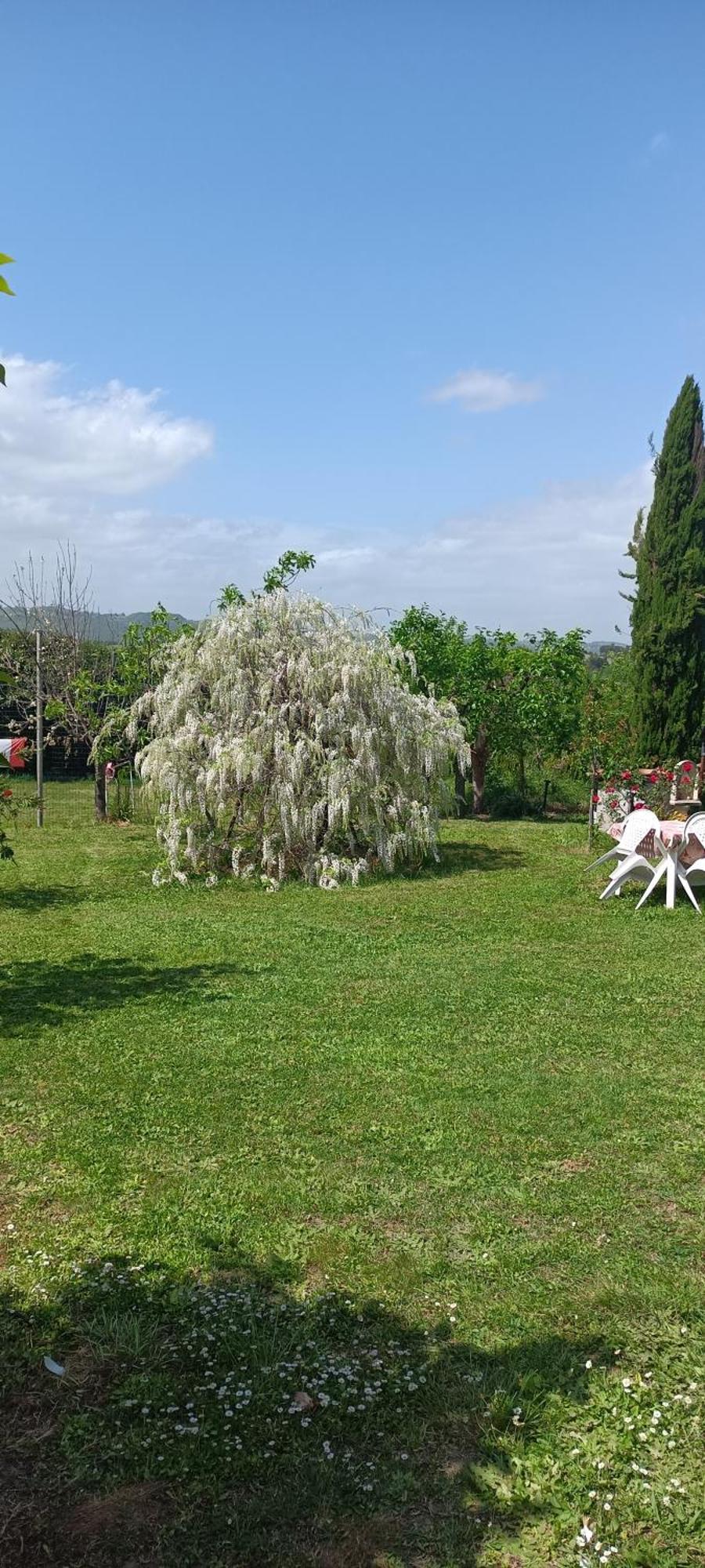 Colle Perazzoni Lägenhet Fiano Romano Exteriör bild