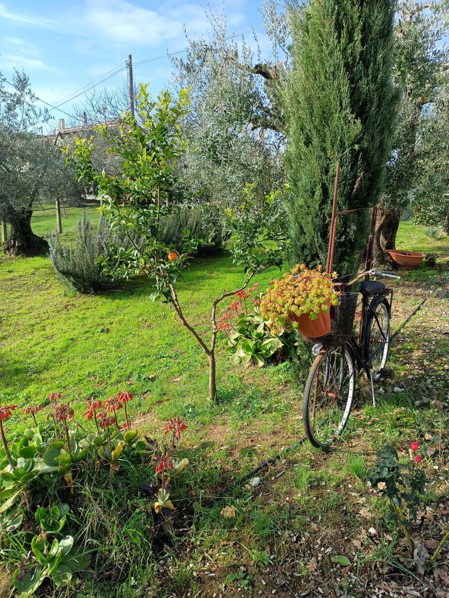 Colle Perazzoni Lägenhet Fiano Romano Rum bild