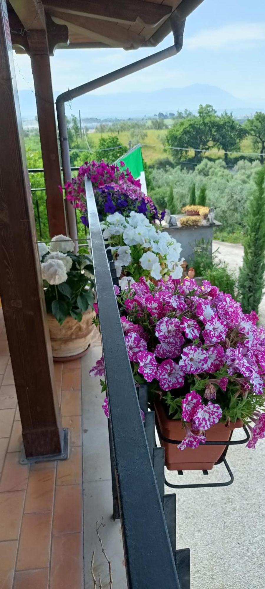 Colle Perazzoni Lägenhet Fiano Romano Exteriör bild