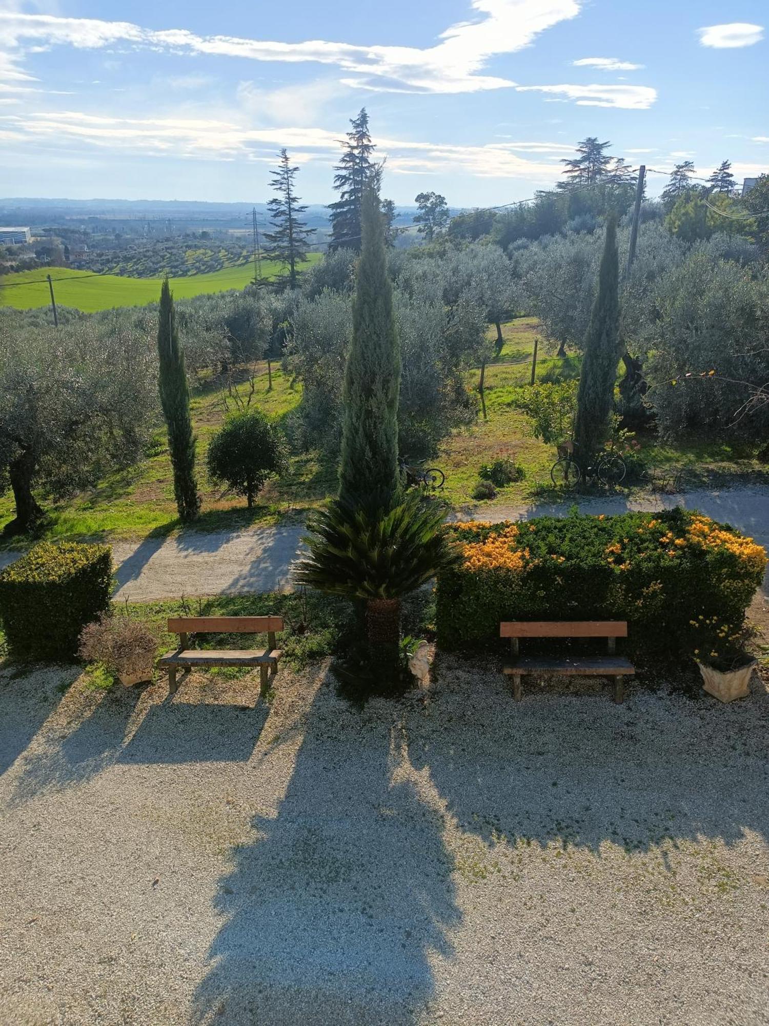 Colle Perazzoni Lägenhet Fiano Romano Rum bild