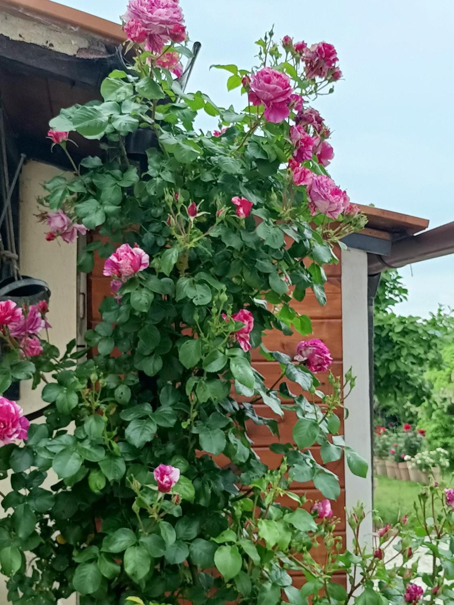 Colle Perazzoni Lägenhet Fiano Romano Exteriör bild